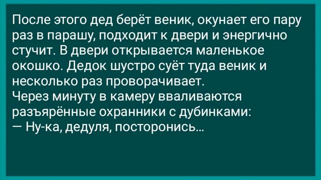 Дед Попал на Зону! Анекдот Дня! Юмор! Смех! Позитив! смотреть онлайн
