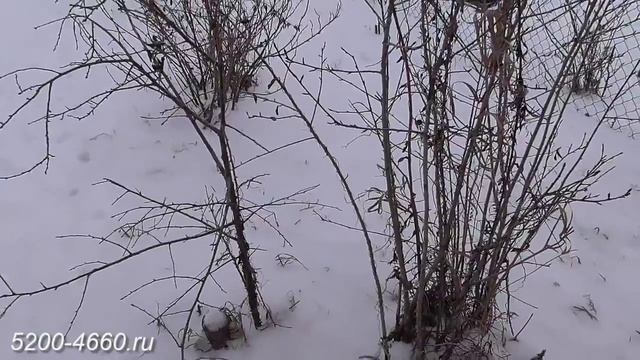 Септик в каркасной бане, своими руками смотреть онлайн