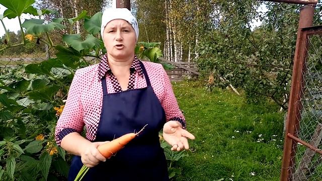 Какие витамины влияют на яйценоскость кур несушек.