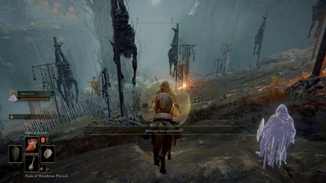 Elden Ring Ulcerated Tree Spirit No Damage смотреть онлайн