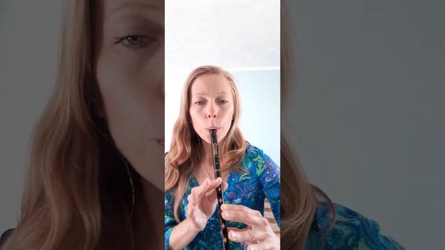 O Carolans Dream ( Сover by Irish whistle Clarke С) (Benny McCarthy by Irish accordion )... смотреть онлайн