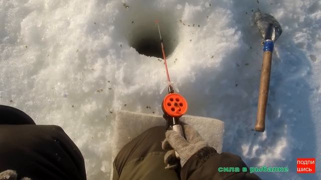 Рыбалка огонь, утром окунь с обеда карась!!!