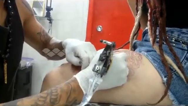 Mauricio Tattoo - BullDog Frances смотреть онлайн