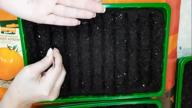 Посев семян томатов на рассаду для открытого грунта. смотреть онлайн