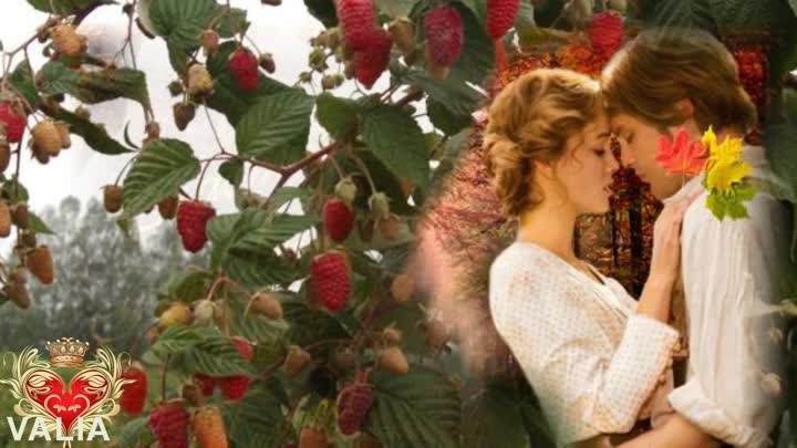 Сладкий Мёд . исп Игорь Кибирев . Песня Класс . Советуем послушать .... смотреть онлайн