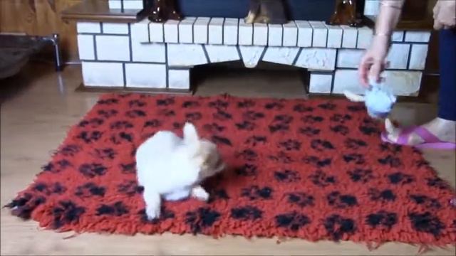 Мальчик в продаже Родился 14 07 2022 г смотреть онлайн