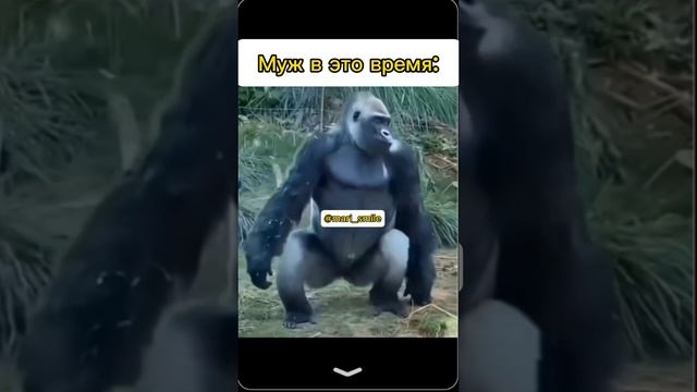 #юмор #blogger #смех #любовь #семейнаяжизнь #семья