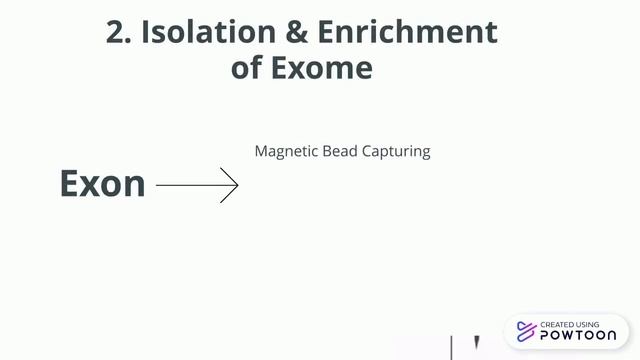 Whole Exome Sequencing смотреть онлайн