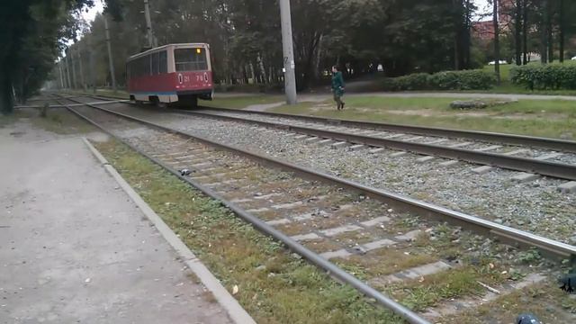 Чего боятся наглые голуби смотреть онлайн