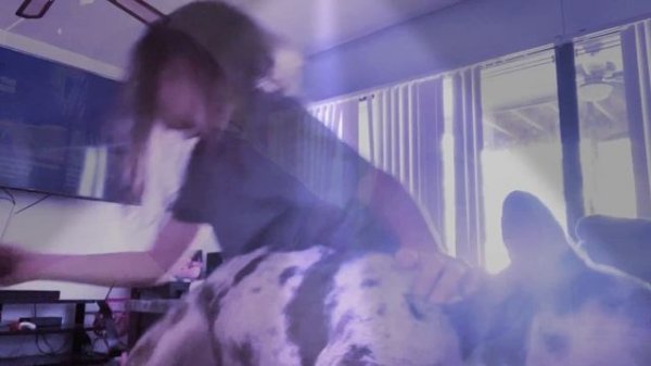 Salami salami gulp Gulp gulp