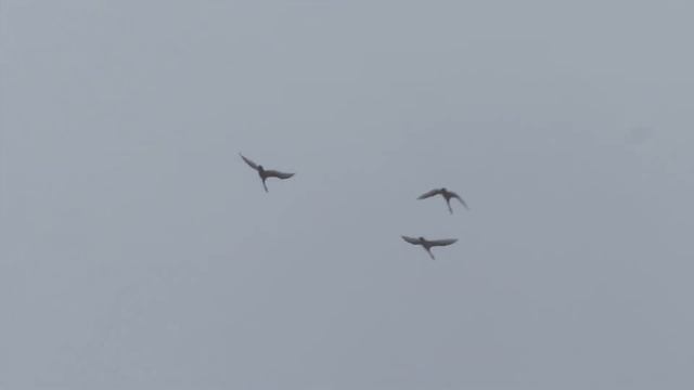 Немного в жизни есть таких людей. смотреть онлайн