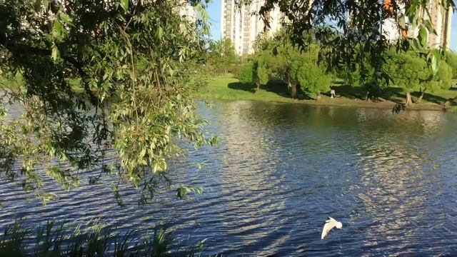 Пошла прогуляться по парку Интернационалистов днём Красота прелесть у нас сново жарко смотреть онлайн