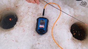 Кормим леща с Практик 8