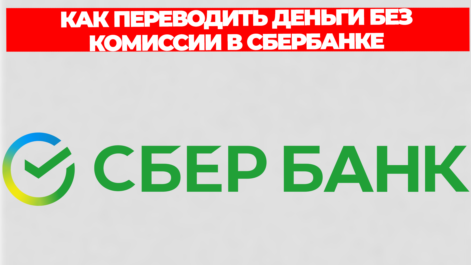 Всезнающий Енот