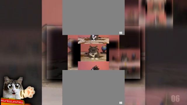 YTPMV REQUEST; YTPMV ЕСЛИ БЫ КОТИКИ ХОДИЛИ В ШКОЛУ КРАШ ТЕСТ ПОДЕЛОК УЧЕНИКОВ scan Scan смотреть онлайн