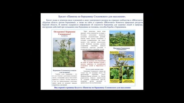 О картографировании борщевика Сосновского в Курской обл. с использованием «citizen science» смотреть онлайн