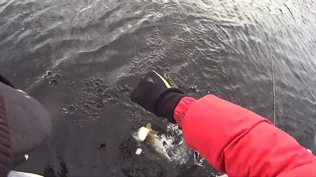 Lucky Craft Real California 128 смотреть онлайн