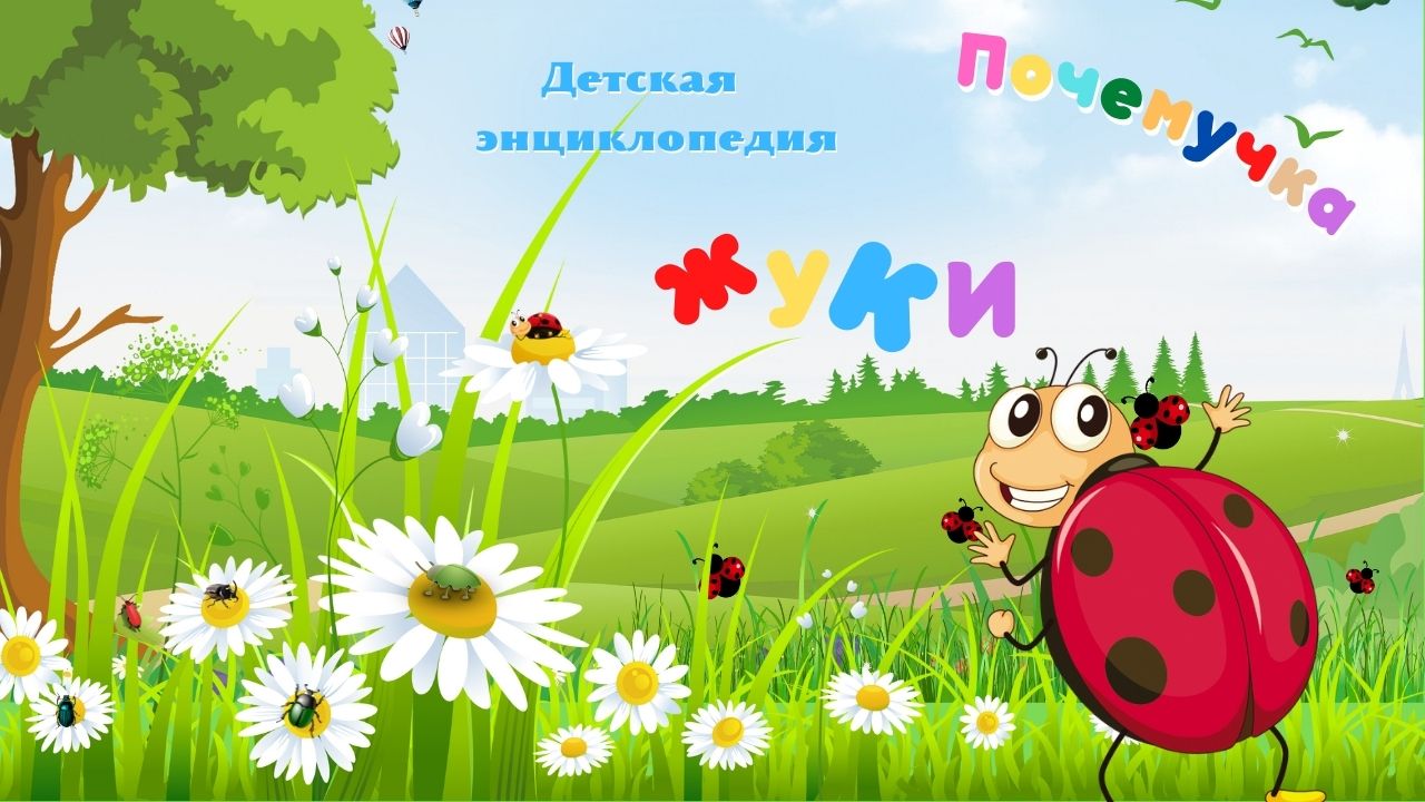 0+ Тор-10 интересных фактов о жуках. Почемучка. Детская энциклопедия. смотреть онлайн