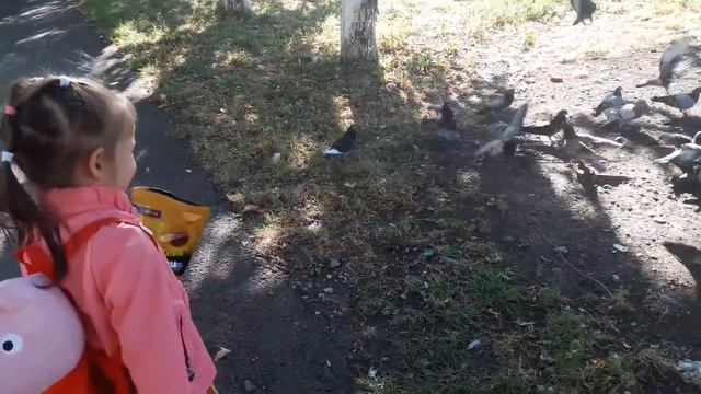 Нонна кормит голубей семечками.Nonna feeding pigeons seeds. смотреть онлайн