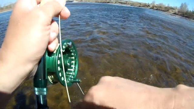 КИТОЙ. РЫБАЛКА В ЧЕРТЕ ГОРОДА.