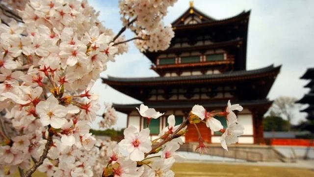 наращивание ресниц смотреть онлайн