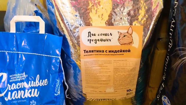 Запасаем сухой корм на зиму для котиков смотреть онлайн