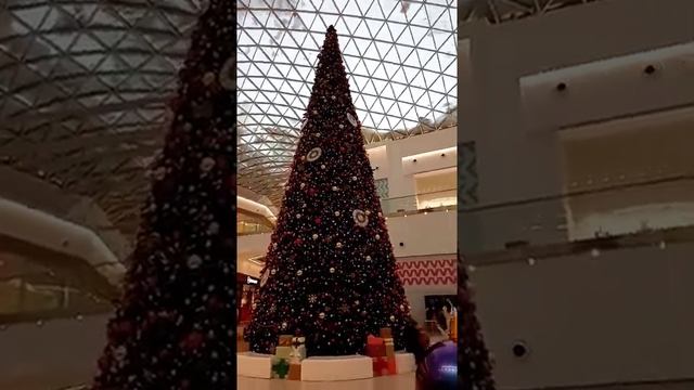 Ёлка очень интересная _ кто угадает где находится.