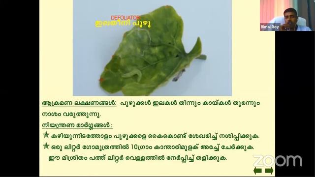 SWANTHAM ADUKALATHOTTAM - IDA MALABAR (WDC) WEBINAR смотреть онлайн