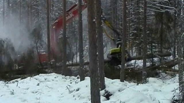Харвестеры на базе экскаваторов с головками AFM в сплошных рубках смотреть онлайн