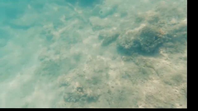 Пляж под водой STEIGENBERGER смотреть онлайн