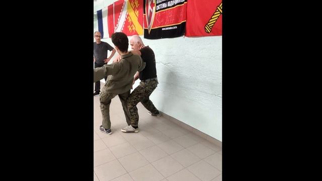 SYSTEMA KADOCHNIKOV Colmar. Travail contre le mur смотреть онлайн