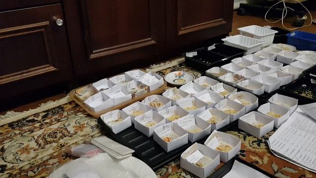 Осенние вечерние дела или Семена и коллекция. 06.10.23 смотреть онлайн