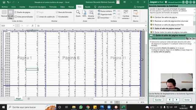 Lección 5.6 - Excel 2016 Core - Certificación MOS - Jasperactive: Configurar el salto de página смотреть онлайн