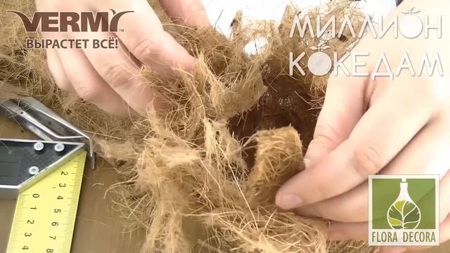 #МИЛЛИОНКОКЕДАМ Мастер-класс-21 Австралийская кокедама смотреть онлайн