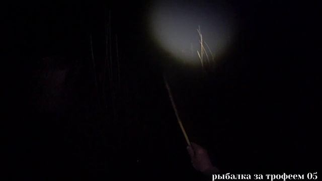 рыбалка на сазана 2023 смотреть онлайн