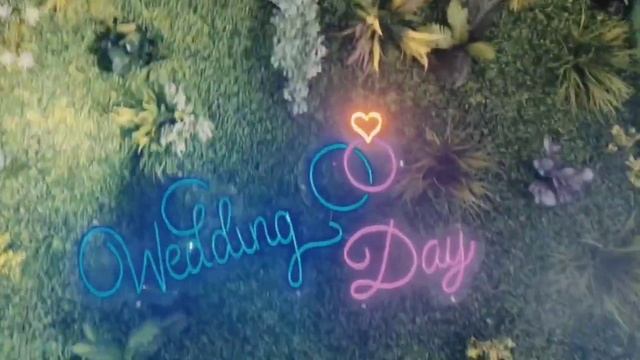 Wedding day neon still neon led | Neon reklama смотреть онлайн