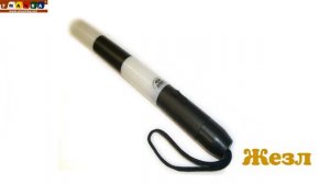 Логопедическое видео    Развивающее видео  Логопедия  Буква Ж  Часть 1