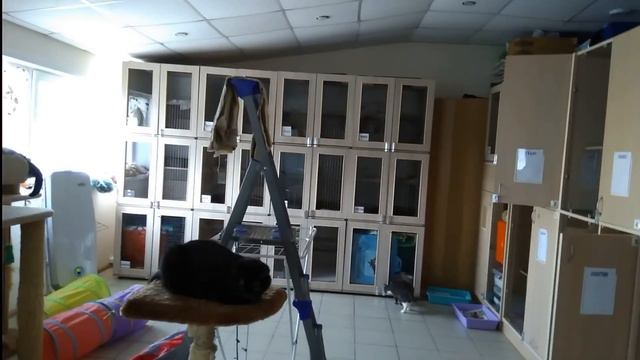 # Vlog 12 Как_мы_провели_выходные 7-9 марта 2020 смотреть онлайн