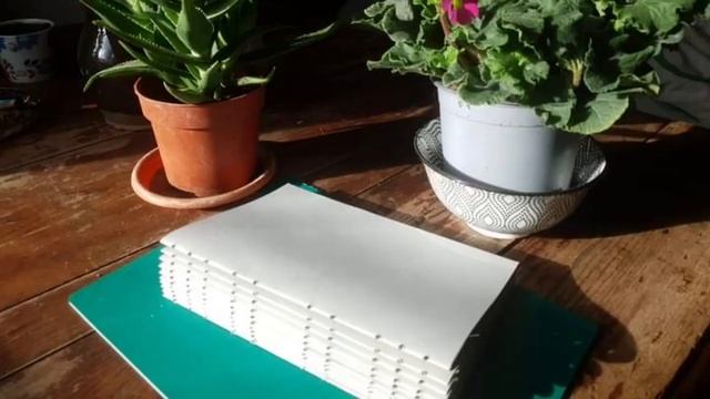 Work in progress: Plantable Journal // Jurnal plantabil смотреть онлайн