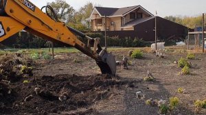 ...процесс корчевания пней экскаватором