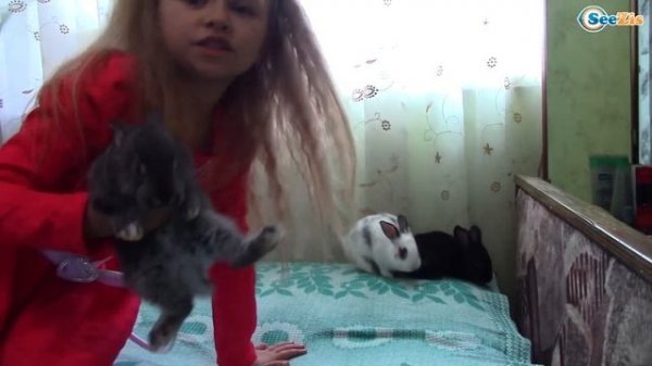 ВЛОГ Играем с Котенком Барсиком Ярослава едет в Деревню играть с маленькими животными Часть 1