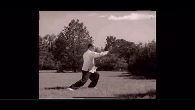 Tai Chi Masters From China Performed In The Park In 1959