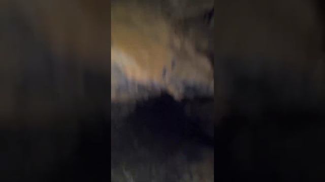 Тест на клаустрофобию. Боязнь замкнутых пространств смотреть онлайн