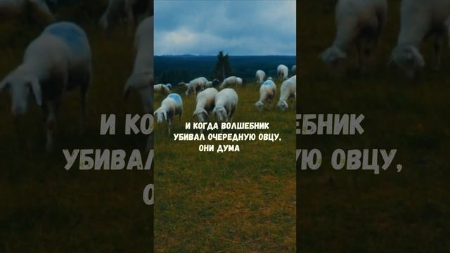 Он Ухаживал За Ними Но Каждый День Одна Пропадала |yoursweetwords| Притча Про Овец и Волшебника смотреть онлайн