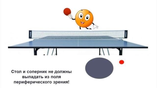 Как правильно смотреть на МЯЧ НАСТОЛЬНОГО ТЕННИСА смотреть онлайн
