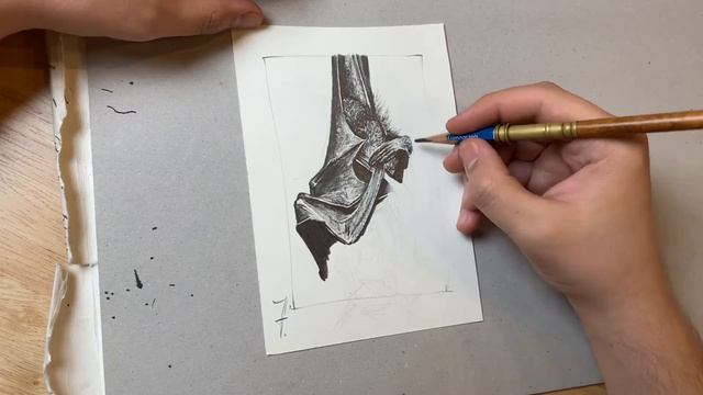 How I sketch a bat with pencil on paper ! смотреть онлайн