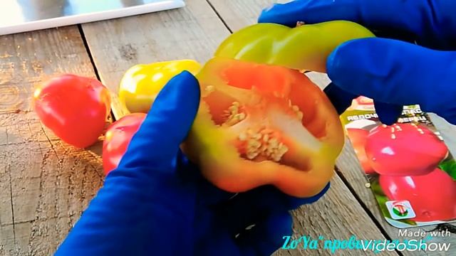 СЛАДКИЙ ПЕРЕЦ 2018// ОТЗЫВ о 7 сортах и 2 гибридах. #обзор #перец #урожай #pepper смотреть онлайн