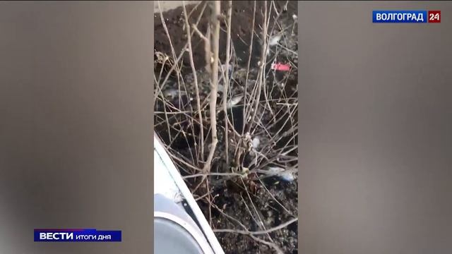 Гибель рыбы в Красноармейском районе произошла по естественным причинам