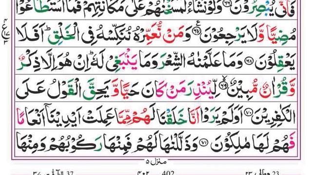 Surah Yaseen | Yasin | Ep 216 | Daily Quran Tilawat Surah Yasin Surah Rahman Surah yasin yaseen смотреть онлайн