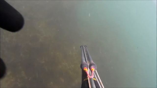 Spearfishing Tumbes Peru смотреть онлайн